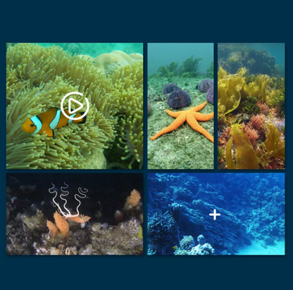Water Buddy - Underwater RC - HD Camera